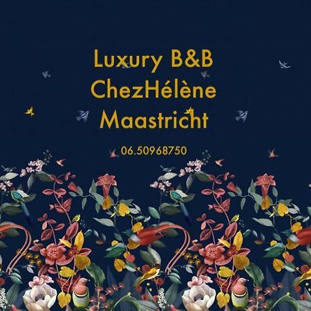 Chez Helene Luxury Bnb Маастрихт Экстерьер фото