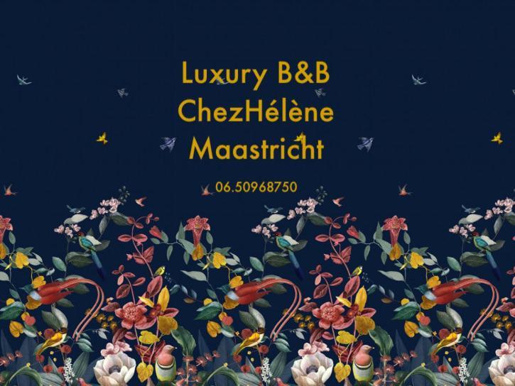 Chez Helene Luxury Bnb Маастрихт Экстерьер фото